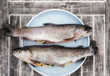 Dlaczego kwasy omega-3 są ważne?